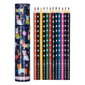 Coloured Pencil 12 Pack (Pets)