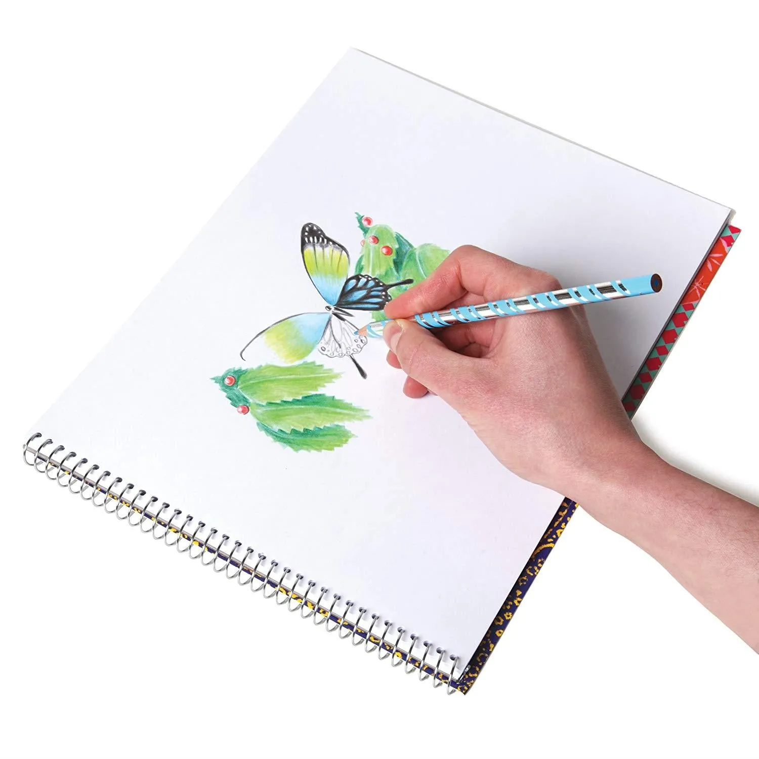 Coloured Pencils | In The Sea (Set of 24)